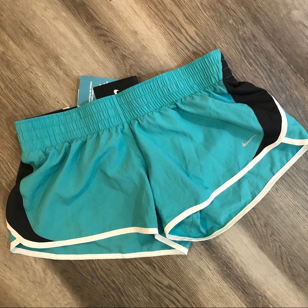 Nike dri-fit shorts size L